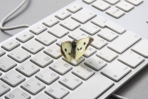 The butterfly on keyboard