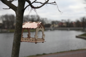 The bird feeder