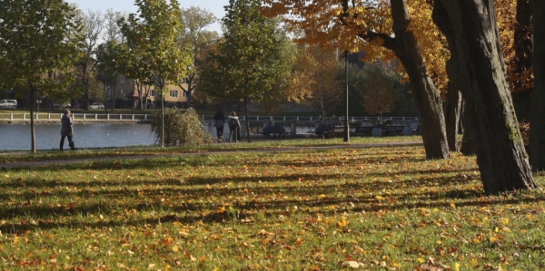 Autumn in the park 1