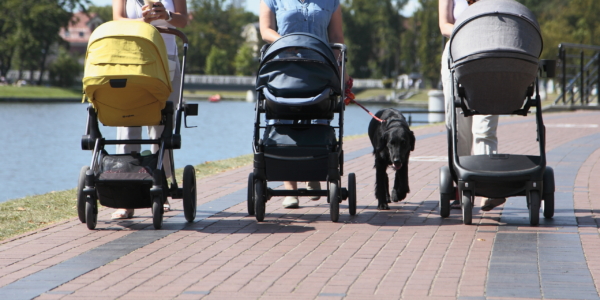 Three babies and a dog 1